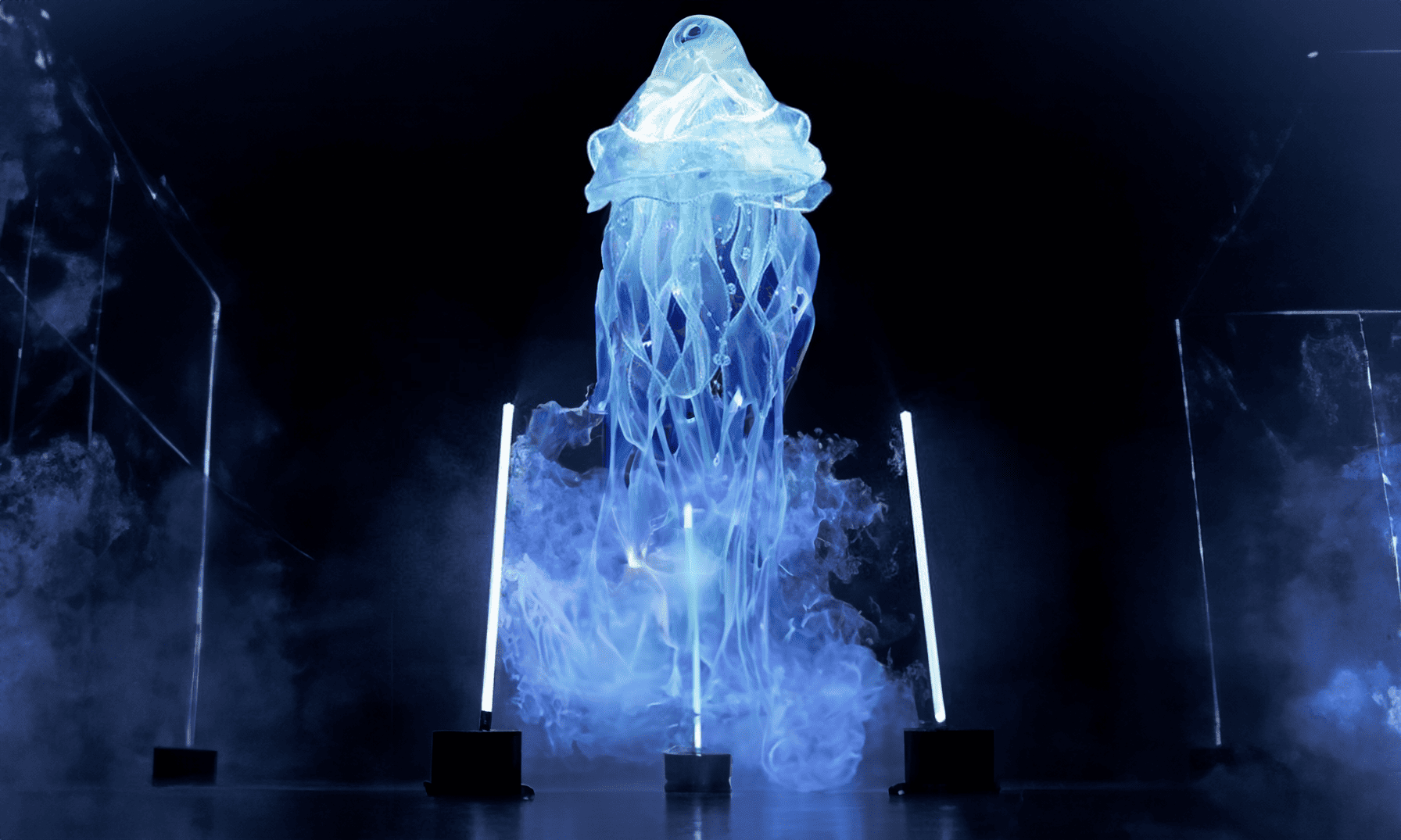 Innovation Leadership